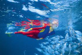 Pixie Pinnacle Dive Site - Mackay Tourism 0