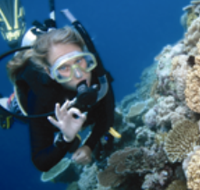Moore Reef Dive Site - Mackay Tourism