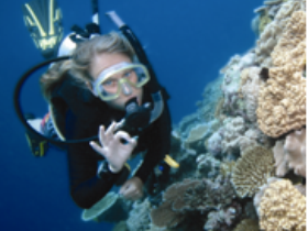 Moore Reef Dive Site - Mackay Tourism 0
