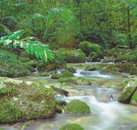 Mossman Gorge Daintree National Park - Mackay Tourism