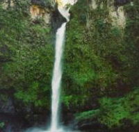 Nandroya Falls Circuit Track Wooroonooran National Park - Mackay Tourism