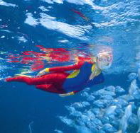 Great Detached Reef Dive Site - Mackay Tourism