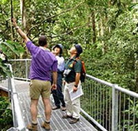 Daintree Discovery Centre - Mackay Tourism