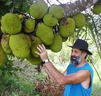 Cape Trib Exotic Fruit Farm - Mackay Tourism