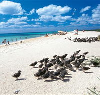 Michaelmas and Upolo Cays National Park - Mackay Tourism