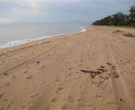Ingham QLD Mackay Tourism