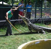 Snakes Downunder Reptile Park and Zoo - Mackay Tourism