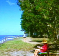 Melaleuca Track - Mackay Tourism