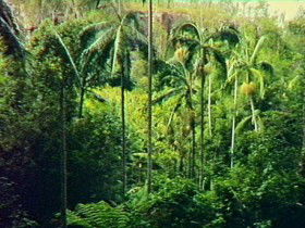Monto QLD Mackay Tourism