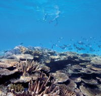 Australian Institute of Marine Science - Mackay Tourism