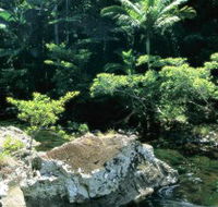 Conway State Forest - Mackay Tourism