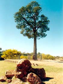 Tuen QLD Mackay Tourism