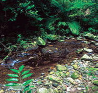 Wompoo Walk - Mackay Tourism