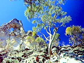 Mount Moffatt Section - Carnarvon National Park - Mackay Tourism 0