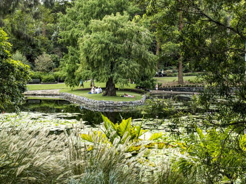 Brisbane Botanic Gardens Mount Coot-tha - Mackay Tourism 1