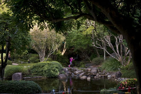 Brisbane Botanic Gardens Mount Coot-tha - Mackay Tourism 2