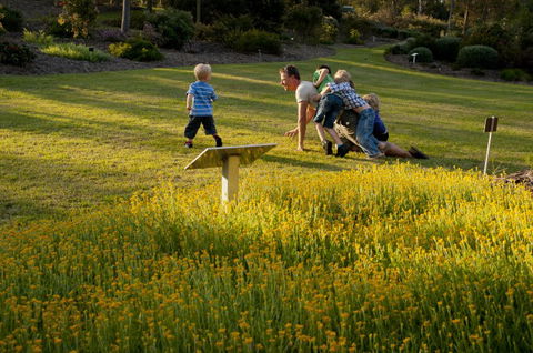 Brisbane Botanic Gardens Mount Coot-tha - Mackay Tourism 5