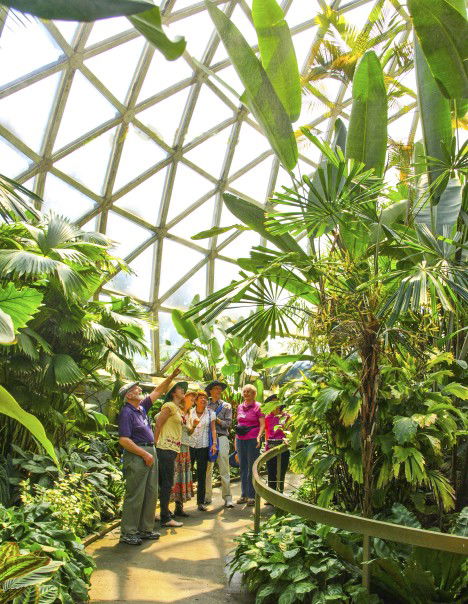 Brisbane Botanic Gardens Mount Coot-tha - Mackay Tourism 10