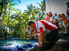 Daydream Island QLD Mackay Tourism