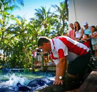 The Living Reef on Daydream Island - Mackay Tourism