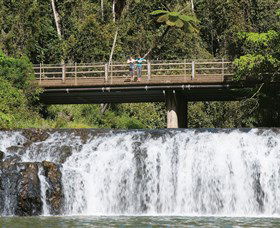 Malanda Falls Conservation Park - Mackay Tourism 0