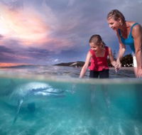 Tangalooma Island Resort - Mackay Tourism