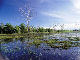 Tyto Wetlands - Mackay Tourism 0