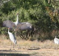 Bulloo River Walk - Mackay Tourism
