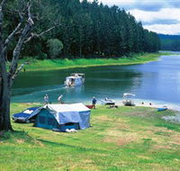 Danbulla National Park and Danbulla State Forest - Mackay Tourism