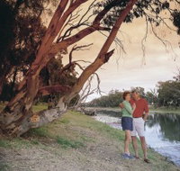 The Looking Glass - Mackay Tourism