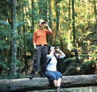 Birdwatching on the Fraser Coast - Mackay Tourism