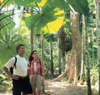 Licuala State Forest - Mackay Tourism