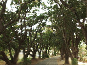 Eimeo QLD Mackay Tourism