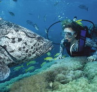 Pelorus Island - Mackay Tourism