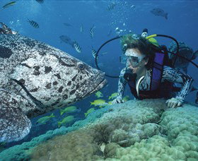 Pelorus Island - Mackay Tourism 0