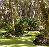 Arkarra Lagoons and Tea Gardens - Mackay Tourism