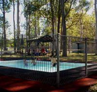 Teddington Weir and Picnic Reserve - Mackay Tourism