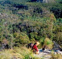 Expedition National Park - Mackay Tourism