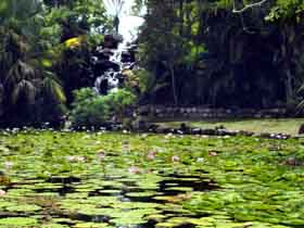 Queens Park Waterfall - Mackay Tourism 0