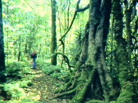 Frazerview QLD Mackay Tourism