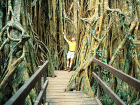 Lake Barrine QLD Mackay Tourism