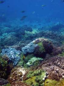Bargara QLD Mackay Tourism