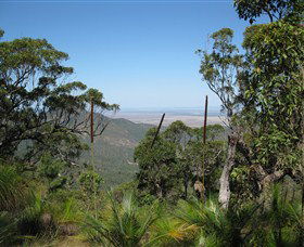 Zamia Walk - Mackay Tourism 0