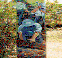 Alpha Murals - Mackay Tourism