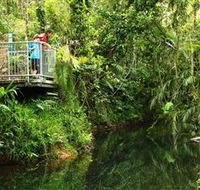 Djiru National Park - Mackay Tourism