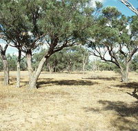 Forest Den National Park - Mackay Tourism
