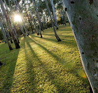 Tondoon Botanic Gardens - Mackay Tourism