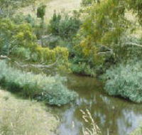 Yarrambat Park - Mackay Tourism