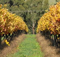 Wild Dog Winery  Restaurant - Mackay Tourism