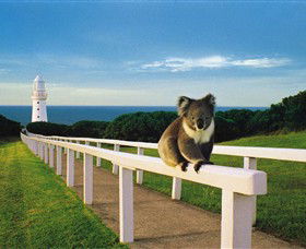Cape Otway VIC Mackay Tourism